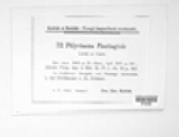 Phlyctema plantaginis image